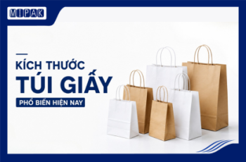 Kích Thước Túi Giấy Phổ Biến Hiện Nay Và Cách Chọn Phù Hợp Cho Từng Nhu Cầu